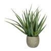 Kunstpflanze Aloe Vera Mit 37 Blättern & Erde, Topf-Ø 14,5 Cm, Höhe Ca. 48 Cm 4 Kunstpflanze Aloe Vera Mit 37 Blättern & Erde, Topf-Ø 14,5 Cm, Höhe Ca. 48 Cm -Compo Verkaufsgeschäft 2220102260 Aloe x37 ca 48cm gruen mit Erde 97721