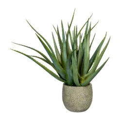 Kunstpflanze Aloe Vera Mit 37 Blättern & Erde, Topf-Ø 14,5 Cm, Höhe Ca. 48 Cm