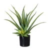 Kunstpflanze Aloe Vera Mit 2 Stämmen & Erde, Topf-Ø 12 Cm, Höhe Ca. 48 Cm 3 Kunstpflanze Aloe Vera Mit 2 Stämmen & Erde, Topf-Ø 12 Cm, Höhe Ca. 48 Cm -Compo Verkaufsgeschäft 2220102261 Aloe x2 ca 48cm gruen mit Erde 97722