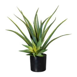 Kunstpflanze Aloe Vera Mit 2 Stämmen & Erde, Topf-Ø 12 Cm, Höhe Ca. 48 Cm