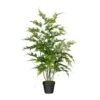 Kunstpflanze Asparagus Plumosus Mit 7 Wedeln, Topf-Ø 12 Cm, Höhe Ca. 80 Cm -Compo Verkaufsgeschäft 2220102264 Asparagus plumosus Farn x7 ca 80cm 97725
