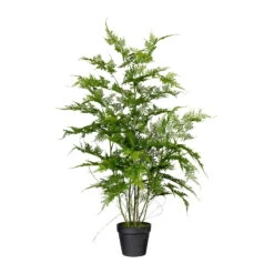 Kunstpflanze Asparagus Plumosus Mit 7 Wedeln, Topf-Ø 12 Cm, Höhe Ca. 80 Cm