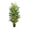 Kunstpflanze Areca-Palme, Höhe Ca. 220 Cm 2 Kunstpflanze Areca-Palme, Höhe Ca. 220 Cm -Compo Verkaufsgeschäft 2220102279 Arecapalme 103024