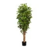 Kunstpflanze Ficus Benjamini, Höhe Ca. 150 Cm -Compo Verkaufsgeschäft 2220102373 Ficus Benjamini 103147