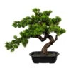 Kunstpflanze Bonsai Myrthe, Höhe Ca. 40 Cm -Compo Verkaufsgeschäft 2220102385 Bonsai Myrte 103178