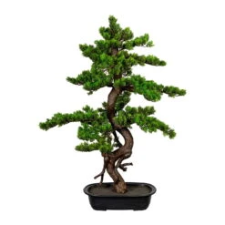 Kunstpflanze Bonsai Myrthe, Höhe Ca. 85 Cm