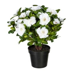 Kunstpflanze Azaleenbusch, Weiß, Ca. 32 Cm, Mit Topf