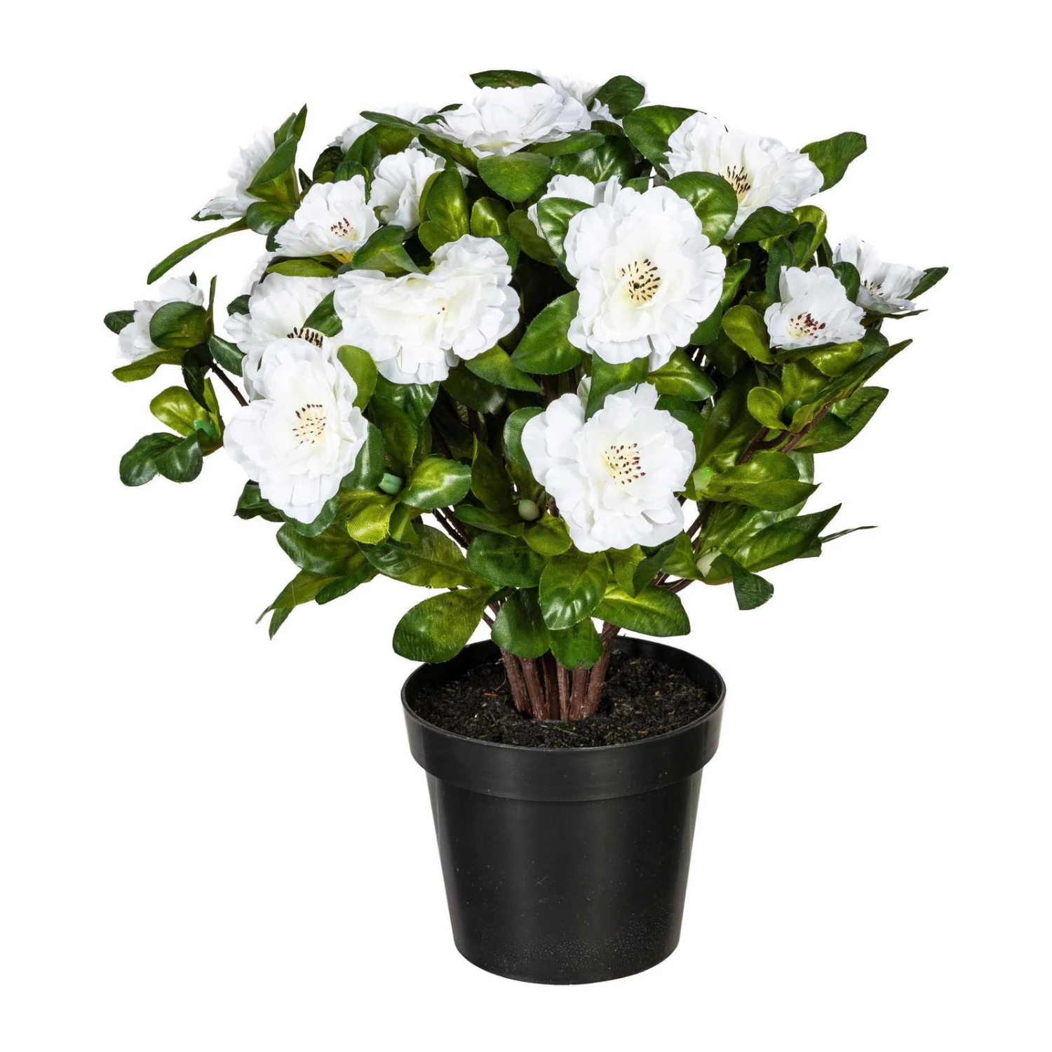 Kunstpflanze Azaleenbusch, Weiß, Ca. 32 Cm, Mit Topf 1 Kunstpflanze Azaleenbusch, Weiß, Ca. 32 Cm, Mit Topf