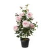 Rosenstock Künstlich, Tolle Blüten, Wunderschöne Farben -Compo Verkaufsgeschäft 2220300228 Rosenstock rosa ca 90cm im einfachen Kunststofftopf D20x17cm 61724