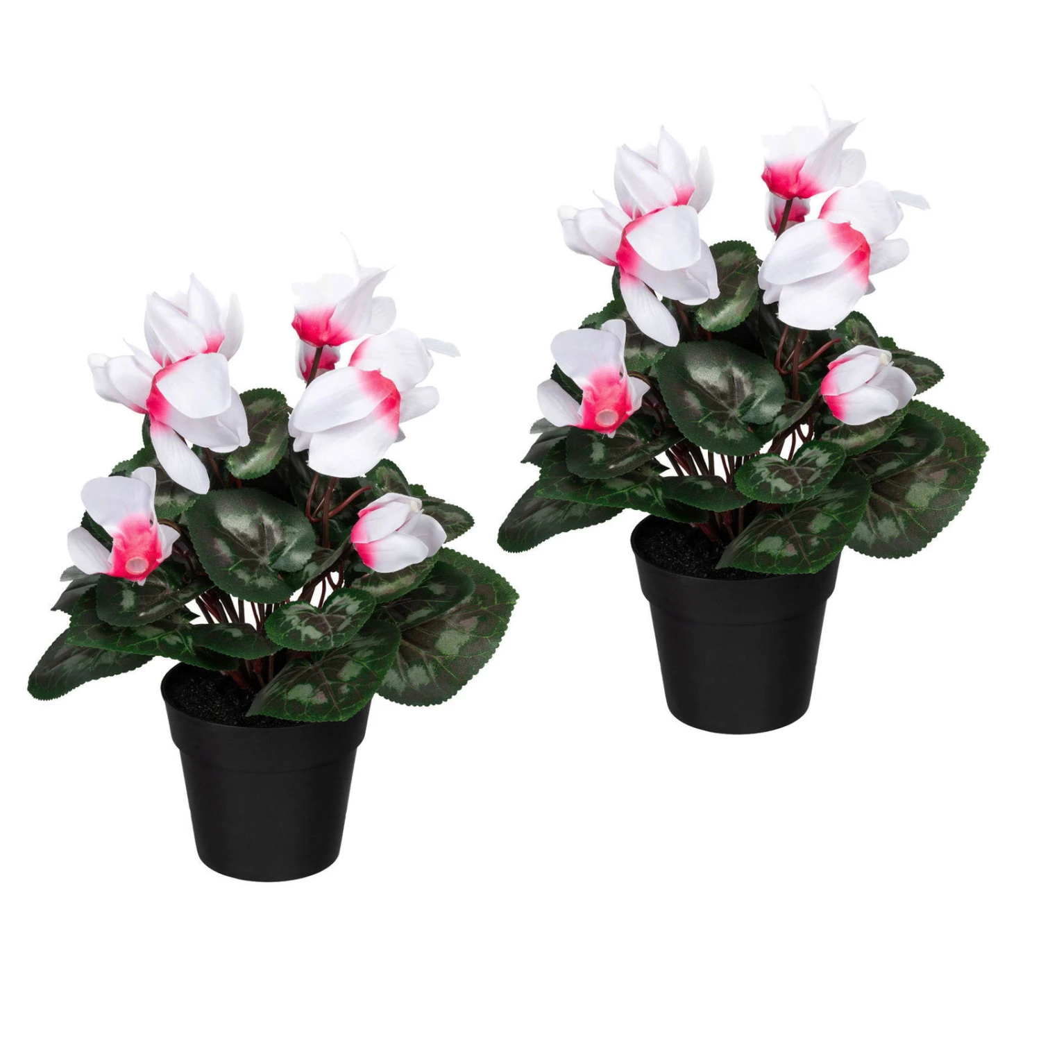 Künstliches Alpenveilchen, Weiß-pink, Ca. 30 Cm, Kunststofftopf 10 X 8,5 Cm 1 Künstliches Alpenveilchen, Weiß-pink, Ca. 30 Cm, Kunststofftopf 10 X 8,5 Cm