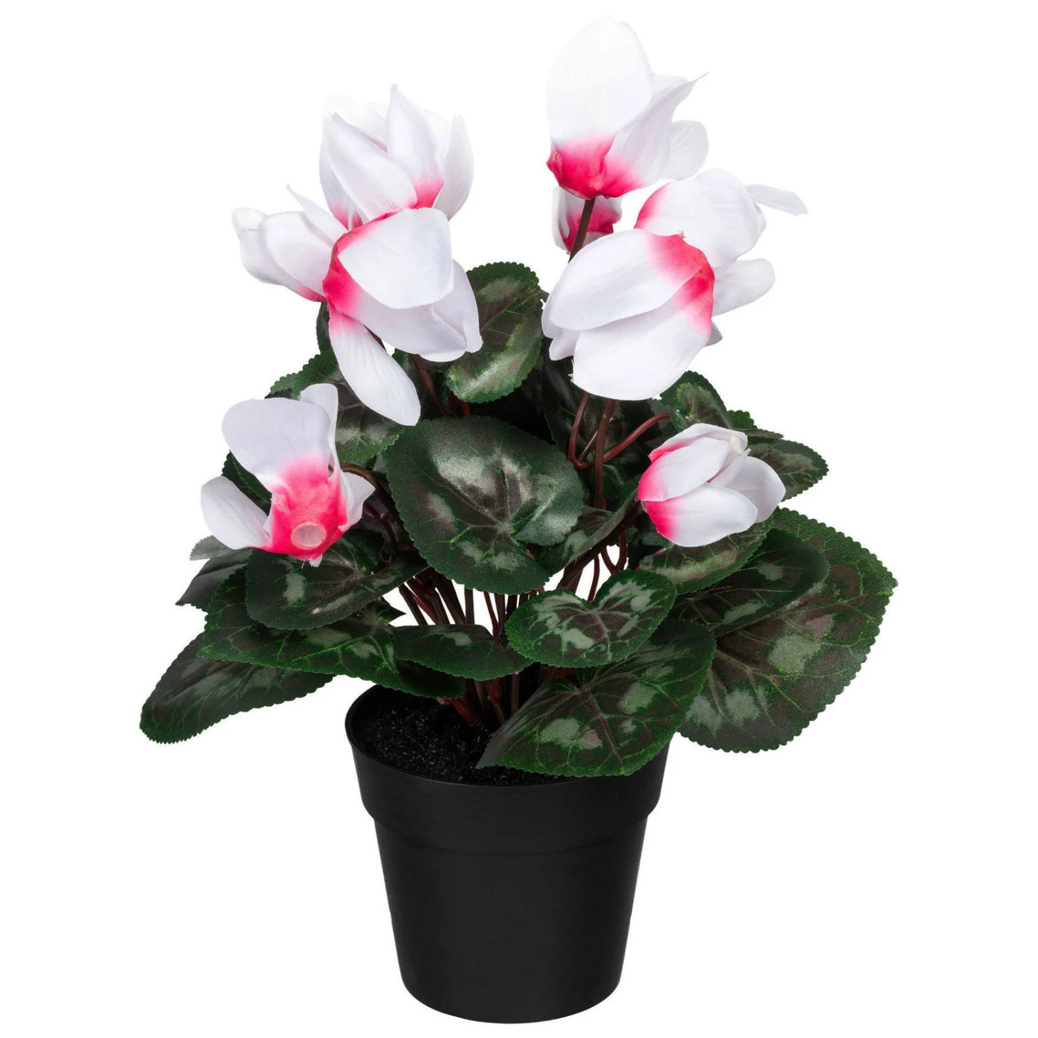 Künstliches Alpenveilchen, Weiß-pink, Ca. 30 Cm, Kunststofftopf 10 X 8,5 Cm 2 Künstliches Alpenveilchen, Weiß-pink, Ca. 30 Cm, Kunststofftopf 10 X 8,5 Cm - Image 2