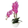 Kunstblume Orchidee Phalaenopsis In Weißer Keramikschale, Lila, Ca. 50 Cm -Compo Verkaufsgeschäft 2220500117 Phalaenopsis lila 50cm in weisser Keramikschale 46452
