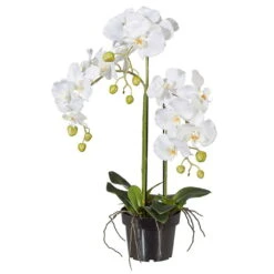 Kunstpflanze Orchidee Phalaenopsis Weiß, Im Kunststofftopf, Ca. 62 Cm