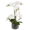 Kunstblume Schmetterlingsorchidee Mit Weißen Blüten Im Keramiktopf, Ca. 38 Cm -Compo Verkaufsgeschäft 2220500133 Phalaenopsis weiss 38cm im Keramiktopf 46463