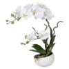 Kunstblume Orchidee Phalaenopsis Weiß, In Der Keramikschale, 42 Cm Hoch 2 Kunstblume Orchidee Phalaenopsis Weiß, In Der Keramikschale, 42 Cm Hoch -Compo Verkaufsgeschäft 2220500139 Dendrobie weiss 42cm in Keramikschale 46469