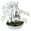 Kunstpflanze Orchideen-Arrangement In Weißer Keramikschale, Ca. 68 Cm -Compo Verkaufsgeschäft 2220500143 Phalaenopsisarrangement weiss 68cm in Keramikschale 46473