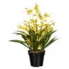 Künstliche Orchidee 'Dancing Queen', Gelbe Blüten, Ca. 60 Cm, Kunststofftopf 17 X 14,5 Cm -Compo Verkaufsgeschäft 2220500255 Oncidie Dancing Queen gelb im Topf 75974