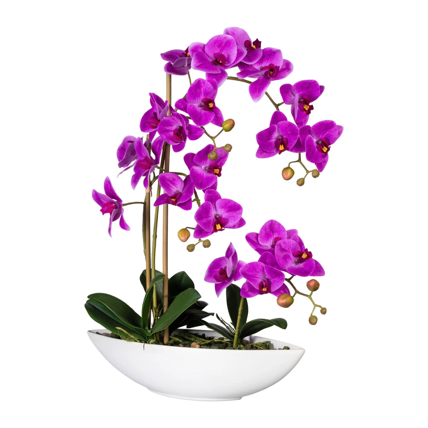 Künstliche Orchidee, Phalaenopsis, 4 Rispen, Lila Blüten, Ca. 60 Cm, 37 X 11 X 9 Cm Keramikschiffchen In Lila 1 Künstliche Orchidee, Phalaenopsis, 4 Rispen, Lila Blüten, Ca. 60 Cm, 37 X 11 X 9 Cm Keramikschiffchen In Lila