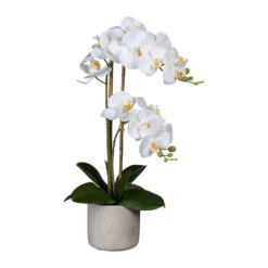Künstliche Orchidee, Phalaenopsis, 2 Rispen, Weiß, Ca. 60 Cm, 13 X 11 Cm Zementtopf In Grau