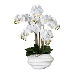 Künstliche Orchidee, Phalaenopsis, 5 Rispen, Weiß, Ca. 75 Cm, 30 X 17 X 12 Cm Kunststoffvase In Weiß