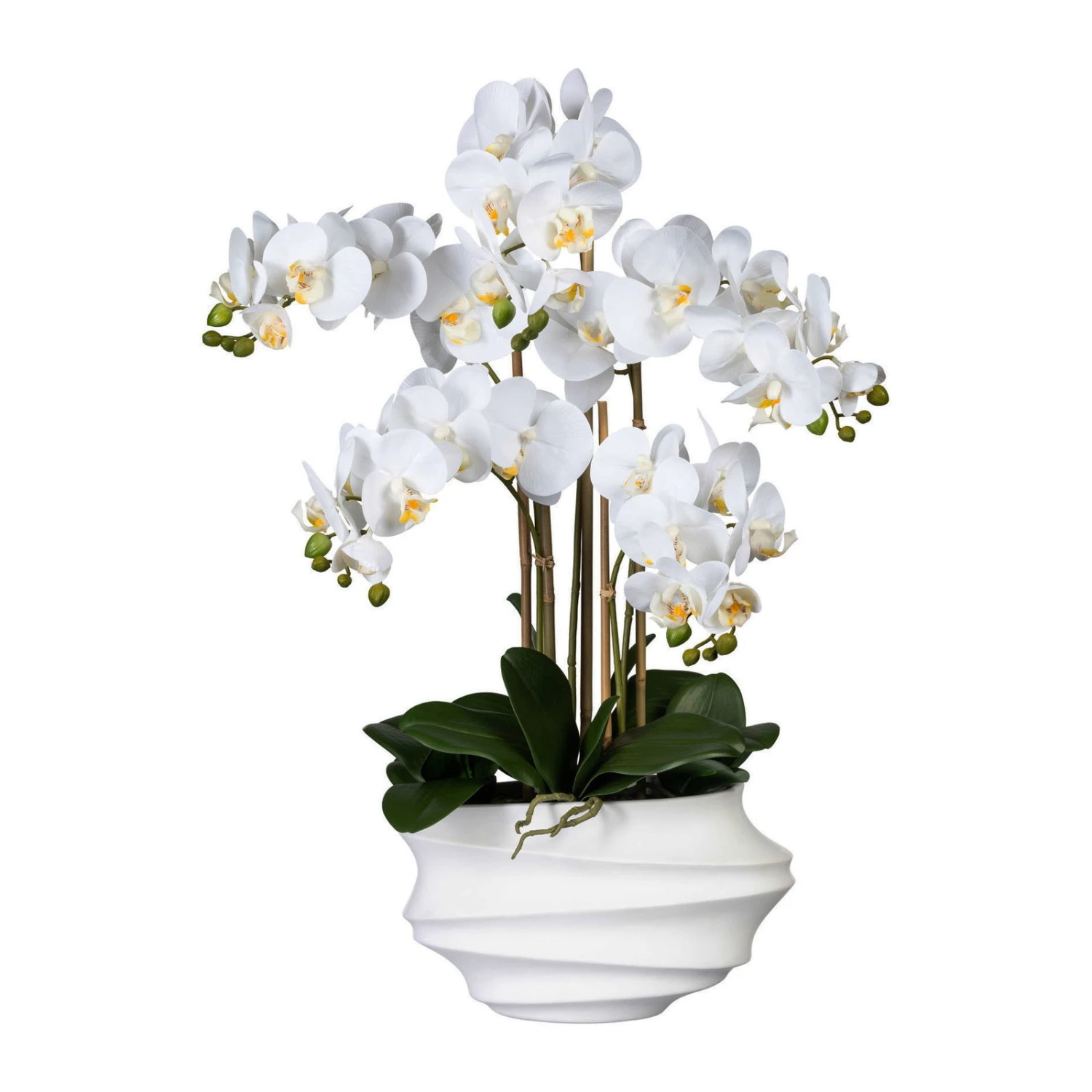 Künstliche Orchidee, Phalaenopsis, 5 Rispen, Weiß, Ca. 75 Cm, 30 X 17 X 12 Cm Kunststoffvase In Weiß 1 Künstliche Orchidee, Phalaenopsis, 5 Rispen, Weiß, Ca. 75 Cm, 30 X 17 X 12 Cm Kunststoffvase In Weiß