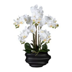 Künstliche Orchidee, Phalaenopsis, 5 Rispen, Weiß, Ca. 75 Cm, 30 X 17 X 12 Cm Kunststoffvase In Schwarz