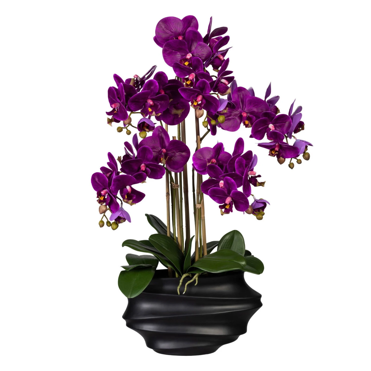 Künstliche Orchidee, Phalaenopsis, 5 Rispen, Lila, Ca. 75 Cm, 30 X 17 X 12 Cm Kunststoffvase In Schwarz 1 Künstliche Orchidee, Phalaenopsis, 5 Rispen, Lila, Ca. 75 Cm, 30 X 17 X 12 Cm Kunststoffvase In Schwarz