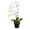 Kunstpflanze Phalaenopsis, Weiß, Topf-Ø 12,5 Cm, Höhe Ca. 55 Cm -Compo Verkaufsgeschäft 2220500330 Phalaenopsis im Topf 55cm weiss 97735
