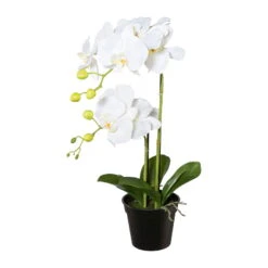 Kunstpflanze Phalaenopsis, Weiß, Topf-Ø 12,5 Cm, Höhe Ca. 55 Cm