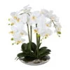 Kunstpflanze Phalaenopsis 'Real Touch', Weiß, Topf-Ø 26 Cm, Höhe Ca. 41cm 2 Kunstpflanze Phalaenopsis 'Real Touch', Weiß, Topf-Ø 26 Cm, Höhe Ca. 41cm -Compo Verkaufsgeschäft 2220500337 Phalaenopsis x4 in Keramikschale silber 97742