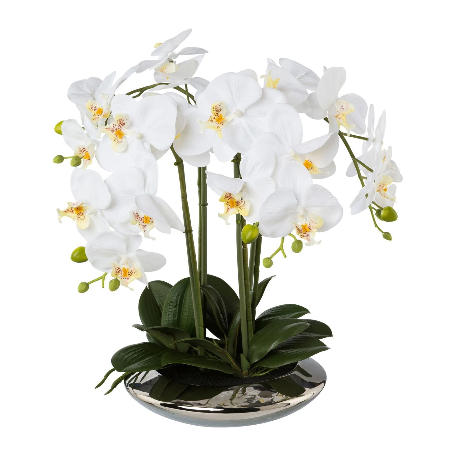 Kunstpflanze Phalaenopsis 'Real Touch', Weiß, Topf-Ø 26 Cm, Höhe Ca. 41cm 1 Kunstpflanze Phalaenopsis 'Real Touch', Weiß, Topf-Ø 26 Cm, Höhe Ca. 41cm