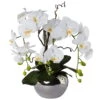 Phalaenopsis 'Real Touch', Weiß, Kunststoff 3 Phalaenopsis 'Real Touch', Weiß, Kunststoff -Compo Verkaufsgeschäft 2220500339 Phalaenopsisarrangement Real touch 126370