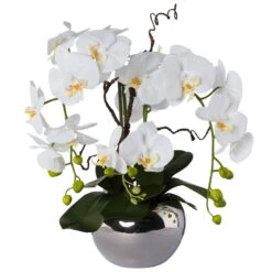 Phalaenopsis 'Real Touch', Weiß, Kunststoff