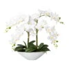 Kunstpflanze Phalaenopsis 'Real Touch', Weiß, Höhe Ca. 53 Cm -Compo Verkaufsgeschäft 2220500340 Phalaenopsis in Keramikschale 53cm 97744