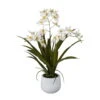 Kunstpflanze Gambia-Orchidee, Weiß, Topf-Ø 12 Cm, Höhe Ca. 50 Cm -Compo Verkaufsgeschäft 2220500351 Gambia Orchidee im Keramiktopf 50cm 97755
