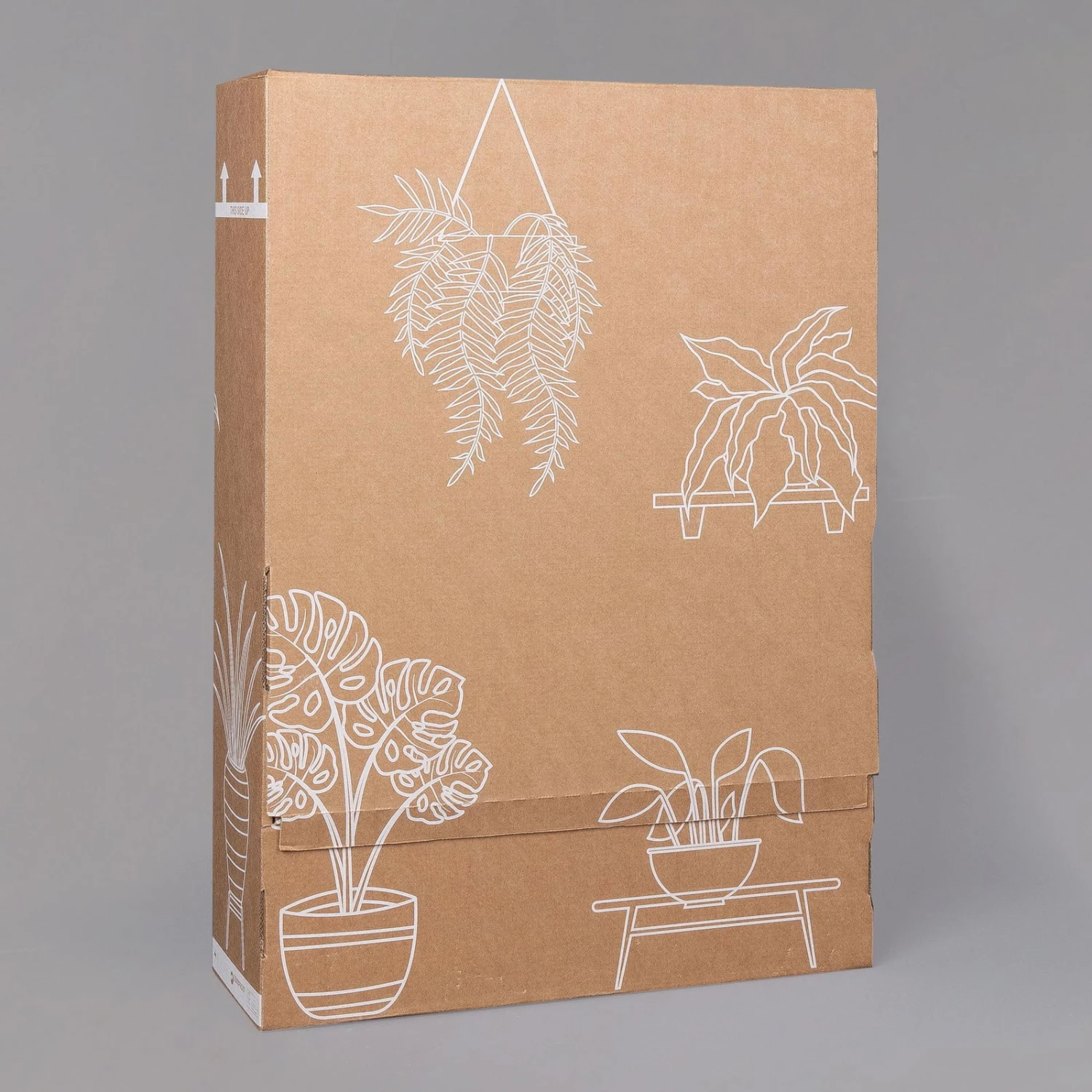 Rose, Gelb, Mit Topf Dallas Weiß, Topf-Ø 13 Cm, 3er-Set 5 Rose, Gelb, Mit Topf Dallas Weiß, Topf-Ø 13 Cm, 3er-Set - Image 5