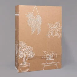 Aglaonema 'Cutlass', Mit Übertopf Dallas Weiß, Topf-Ø 12 Cm -Compo Verkaufsgeschäft B2 02 Karton Sets mit Keramik 1 126161 2