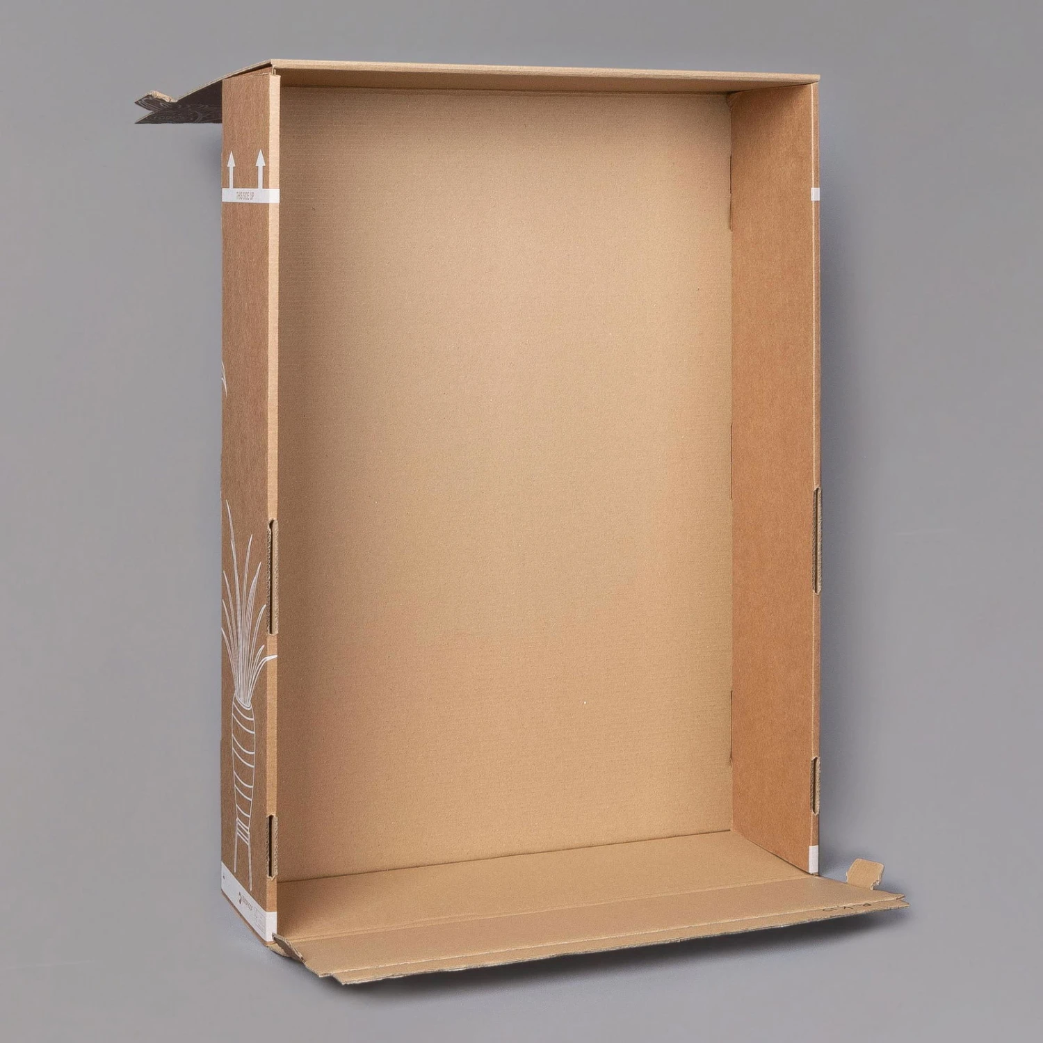 Rose, Orange, Mit Topf Dallas Weiß, Topf-Ø 13 Cm, 3er-Set 3 Rose, Orange, Mit Topf Dallas Weiß, Topf-Ø 13 Cm, 3er-Set - Image 3