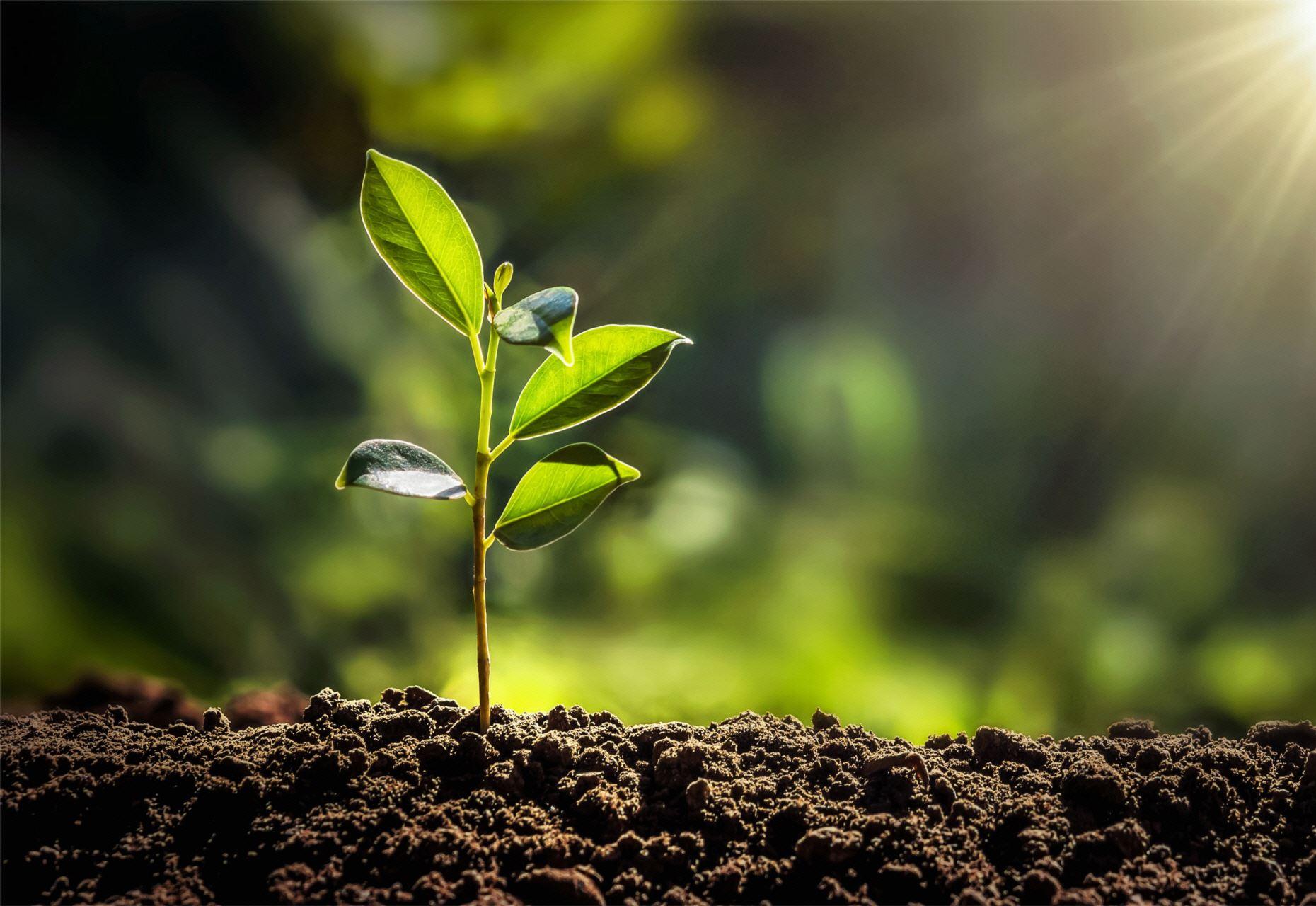 Titelseite -Compo Verkaufsgeschäft 106234ac25080b40c